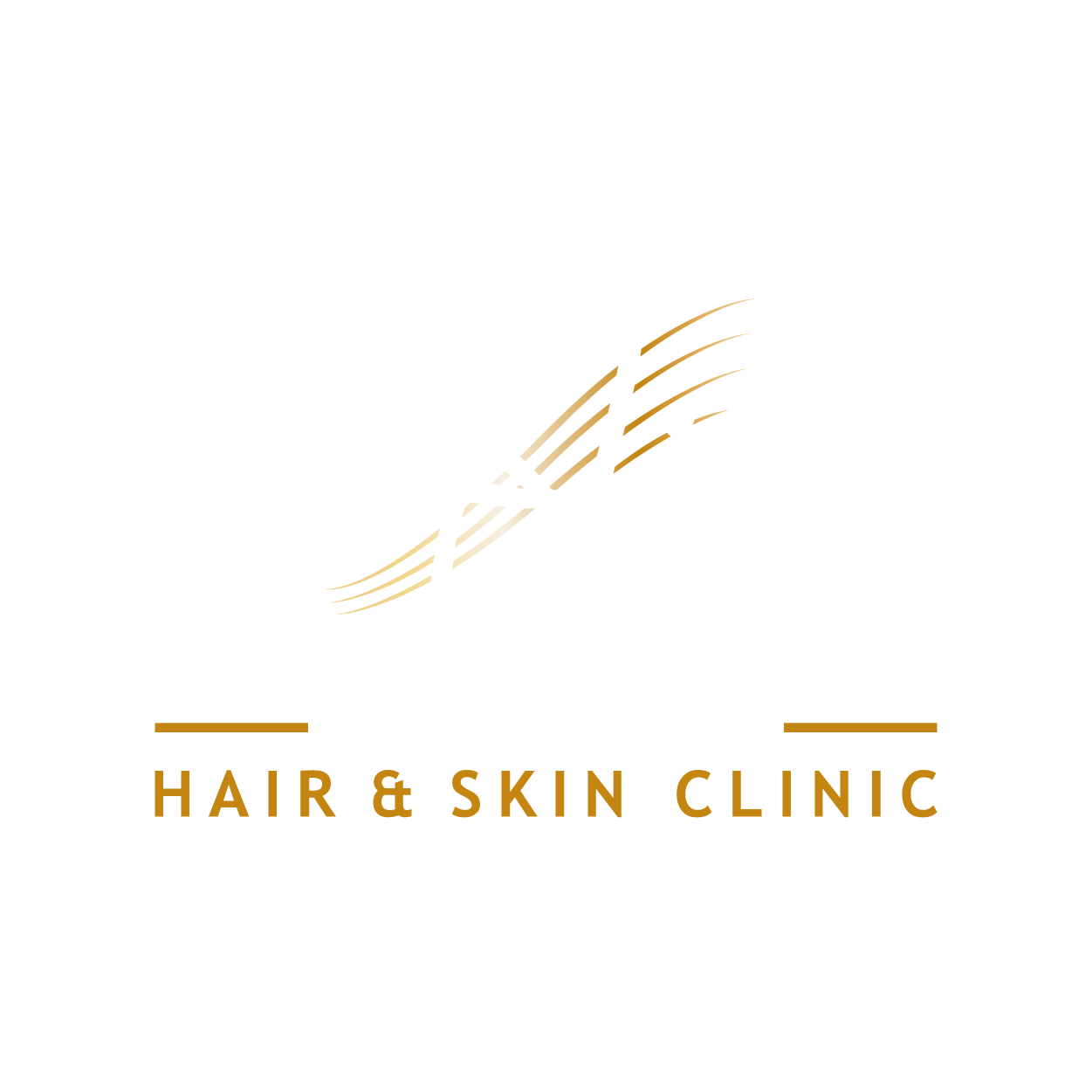 AESTHETICS INN Dark Logo